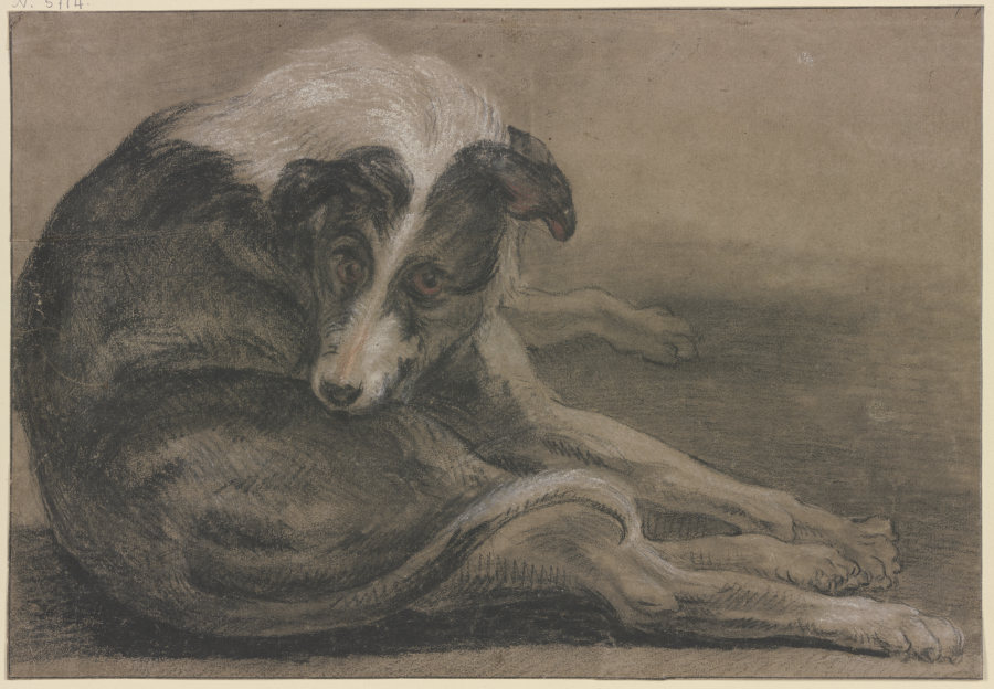 Greyhound, lying a Frans Snyders