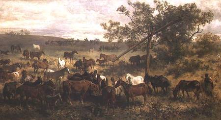 Horses at a Trough a Franz Adam