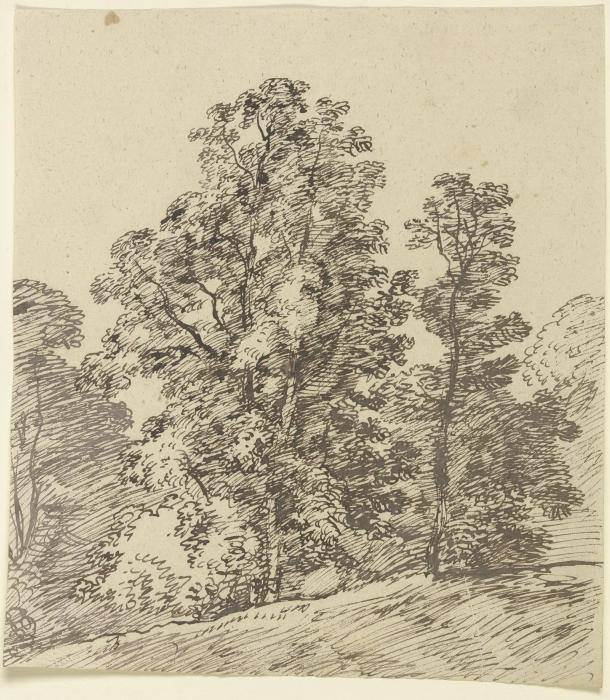Bäume am Rande eines sanften Abhangs a Franz Innocenz Josef Kobell