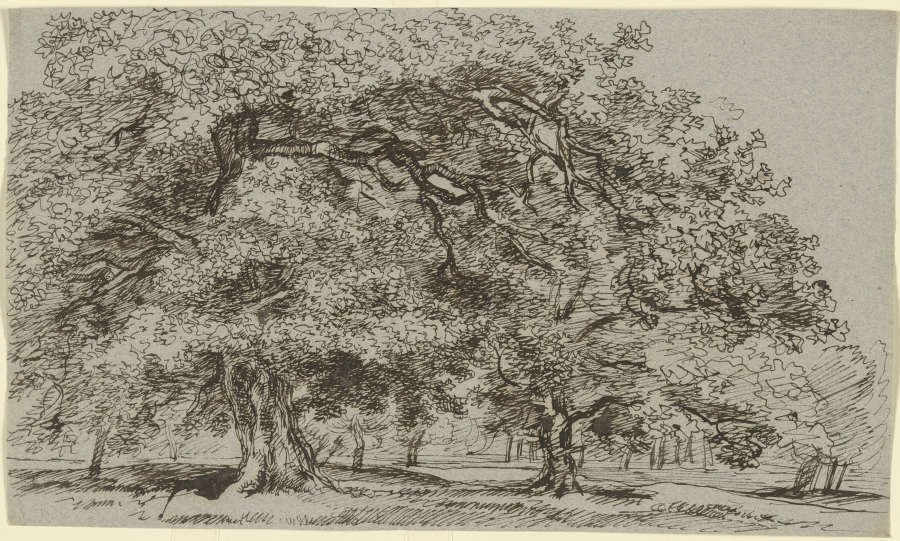 Trees on a meadow a Franz Innocenz Josef Kobell