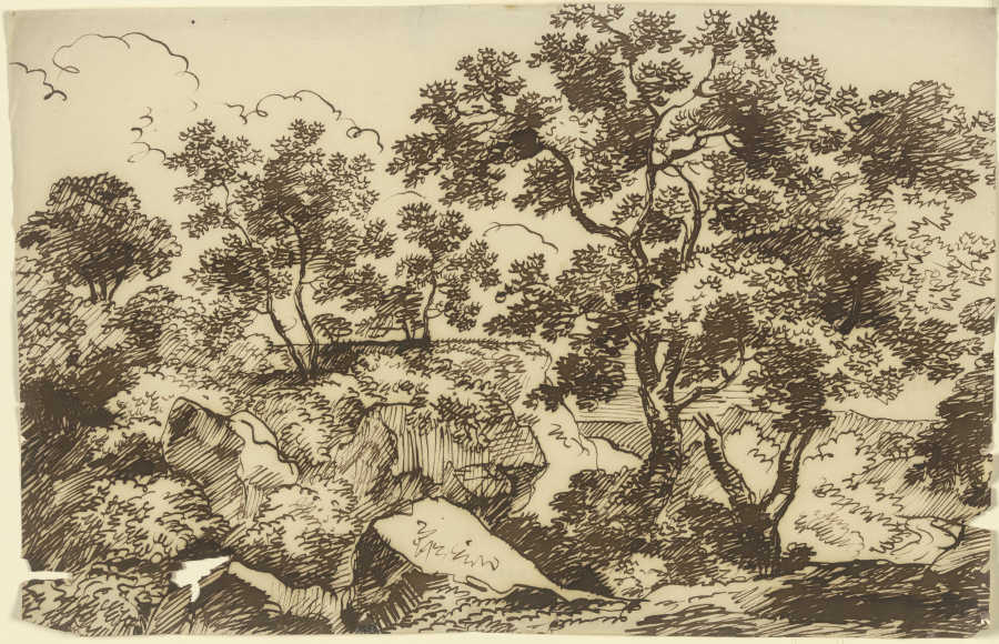 Bäume in einer felsigen Landschaft a Franz Innocenz Josef Kobell