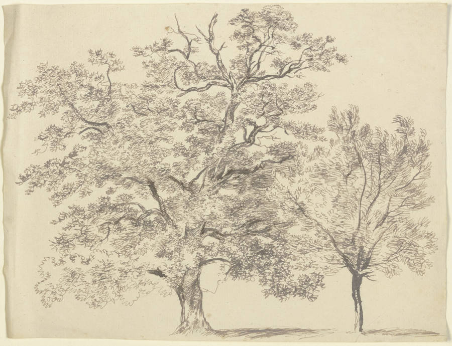 Ein alter und ein junger Baum a Franz Innocenz Josef Kobell