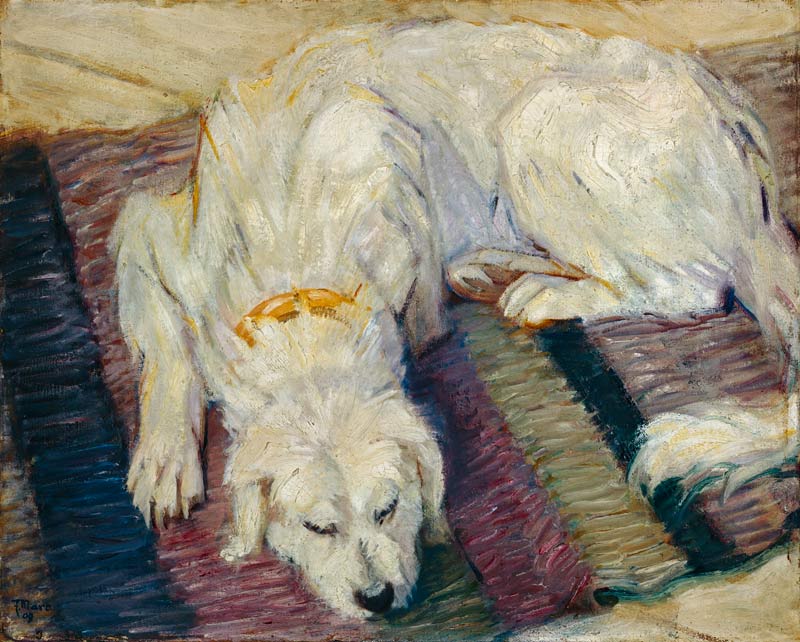 Cane sdraiato (ritratto di un cane) a Franz Marc