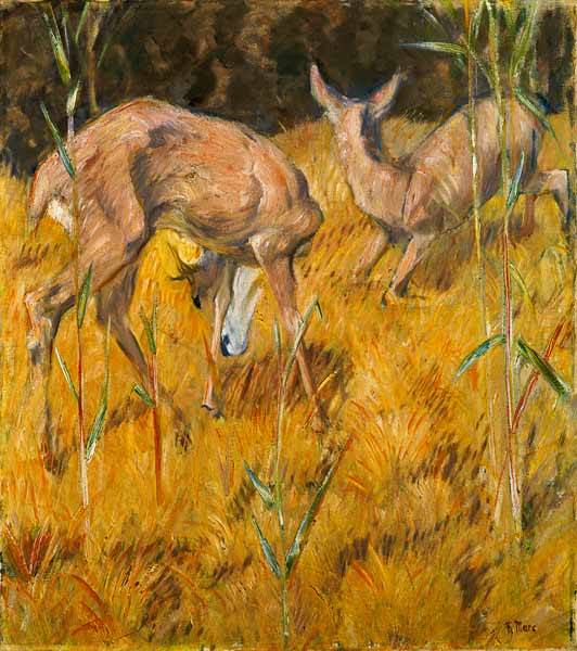 Deer in the reed a Franz Marc