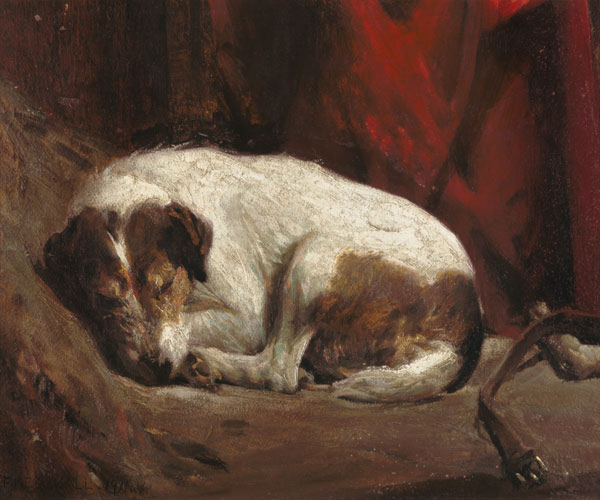 A Sleeping Fox Terrier, 1911 (board) a Fred Hall