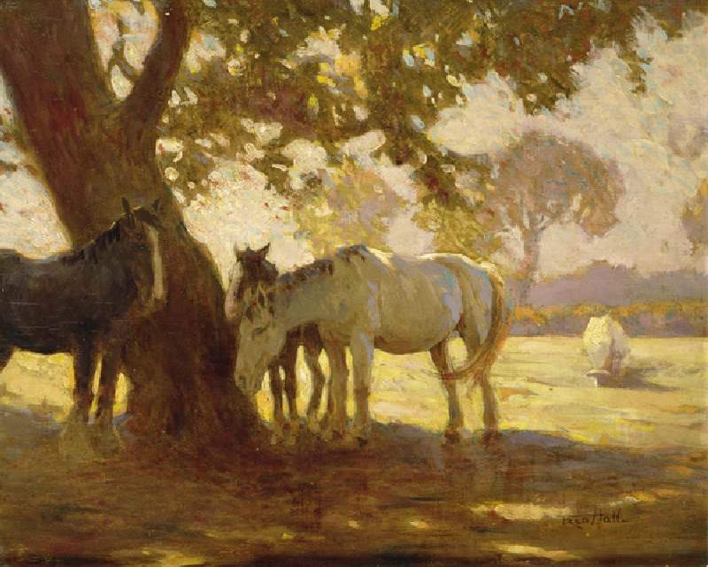 In the Shade (oil on canvas) a Fred Hall