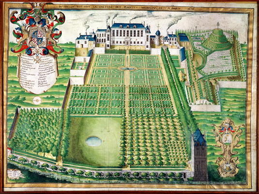 The King's Medicinal Plant Garden, 1636 (engraving on vellum) a Frederic Scalberge