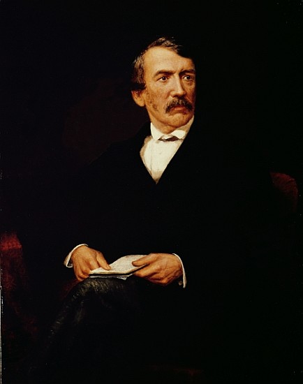 Portrait of Livingstone (1813-1873) a Frederick Havill