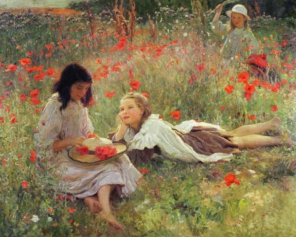 Poppies, c.1909  a Frederick Stead