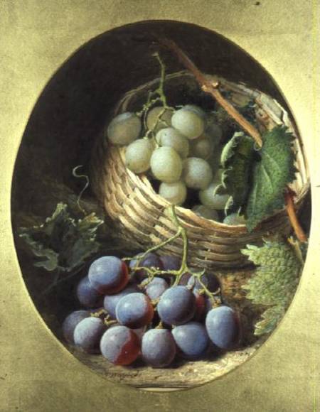 Red and White Grapes a Frederick T. Bayes