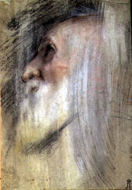 Head of an Old Man in Profile a Federico Fiori Barocci