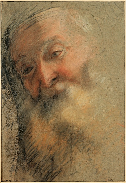 Head of an Old Bearded Man a Federico Fiori Barocci