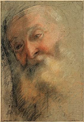 Head of an Old Bearded Man