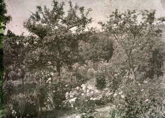 View of Giverny, Monet's Garden, early 1920s (photo) a French Photographer, (20th century)
