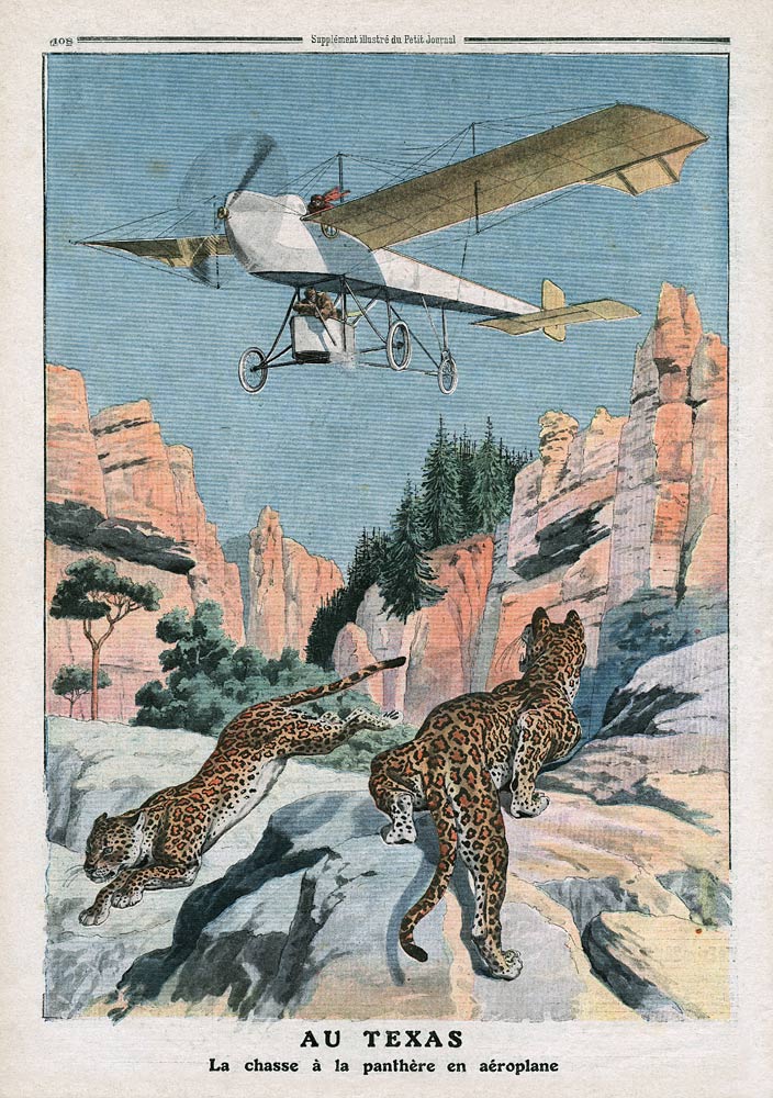 Hunting panthers from an airplane in Texas, illustration from ''Le Petit Journal'', supplement illus a Scuola Francese