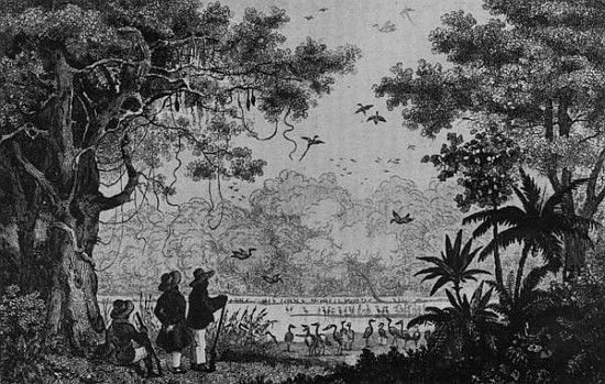 Bird Hunting, from ''Bresil, Columbie et Guyanes'' Ferdinand Denis and Cesar Famin a Scuola Francese