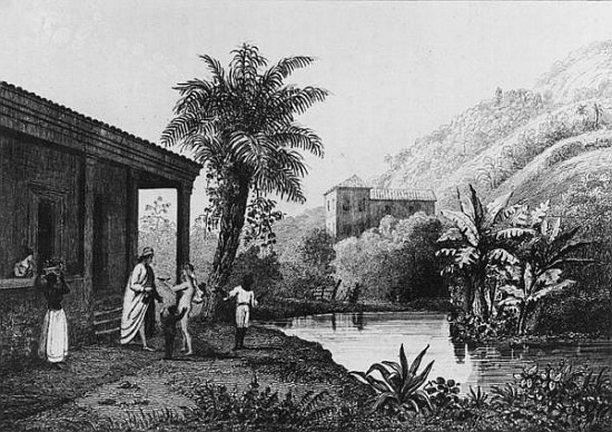 Coffee Plantation,from ''Bresil, Columbie et Guyanes'' Ferdinand Denis and Cesar Famin 1837 a Scuola Francese