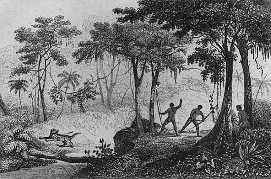 Jaguar Hunt, from ''Bresil, Columbie et Guyanes'' Ferdinand Denis and Cesar Famin 1837 (engraving) a Scuola Francese