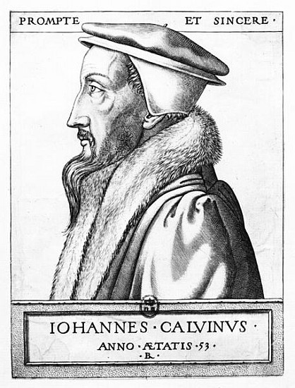 Portrait of John Calvin (1509-64) aged 53 a Scuola Francese