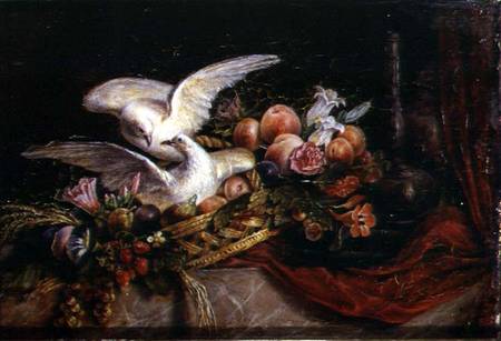 Still Life with Two White Doves a Scuola Francese