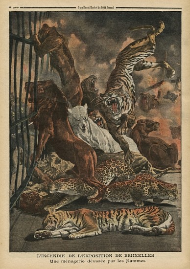 The fire at the Universal Exhibition of Brussels, a menagerie being consumed the flames, illustratio a Scuola Francese