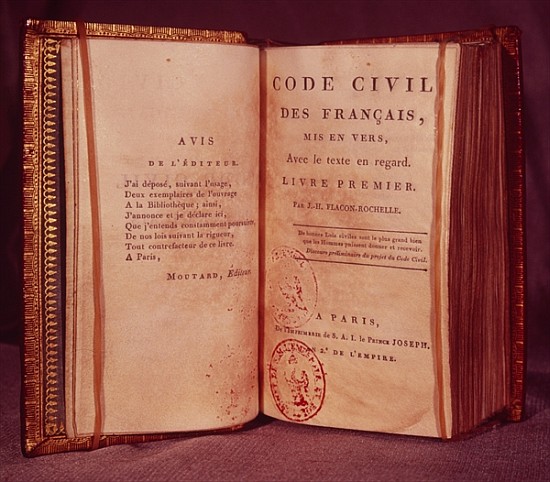 The Napoleonic Code (mixed media) a Scuola Francese