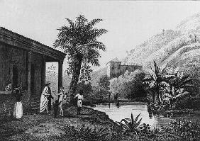 Coffee Plantation,from ''Bresil, Columbie et Guyanes'' Ferdinand Denis and Cesar Famin 1837