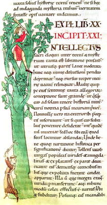 Ms 173 f.41 Historiated inital 'I' depicting a monk and a lay chopping and pruning a tree, from Mora a French School, (12th century)