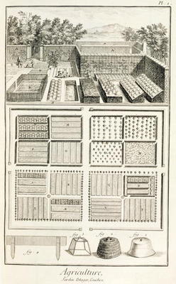 A vegetable garden, from 'The Encyclopedia of Science, Art and Engineering' by Denis Diderot (1713-8 a French School, (18th century)