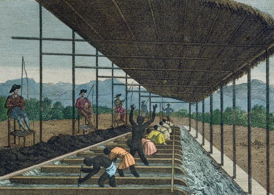 Slaves washing 'cascalho' as part of the diamond mining process in Brazil, 1811 (coloured engraving) a French School, (19th century)