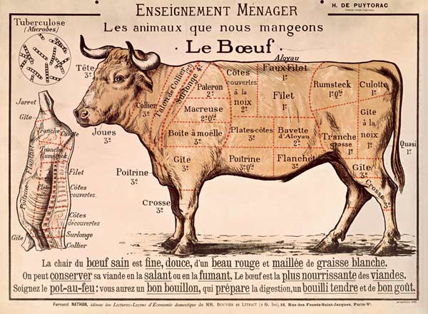Beef: diagram depicting the different cuts of meat (colour litho) a French School, (20th century)