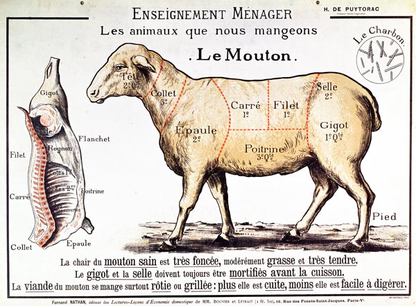 Mutton: diagram depicting the different cuts of meat (colour litho) a French School, (20th century)