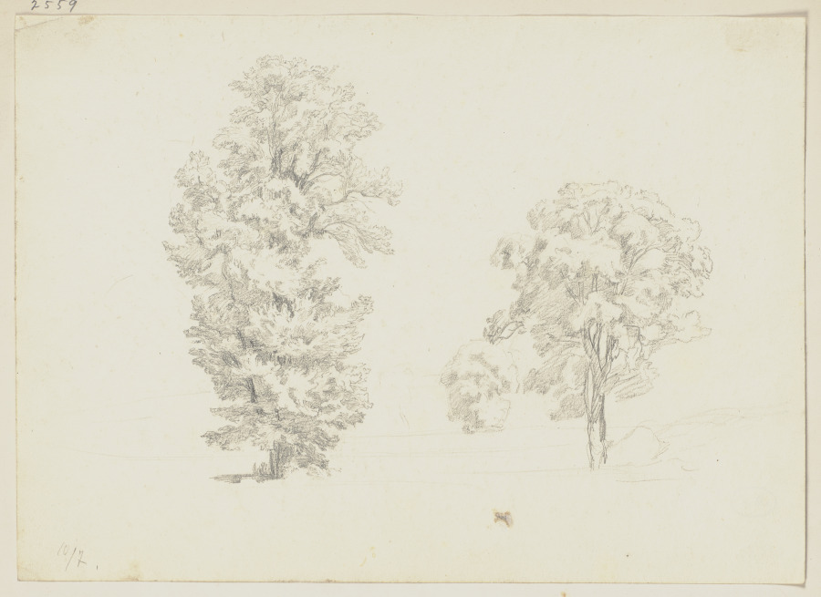 Trees a Friedrich Metz