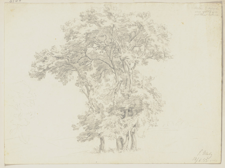 Group of trees a Friedrich Metz