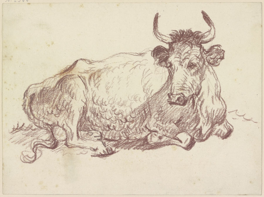 Lying cow a Friedrich Wilhelm Hirt