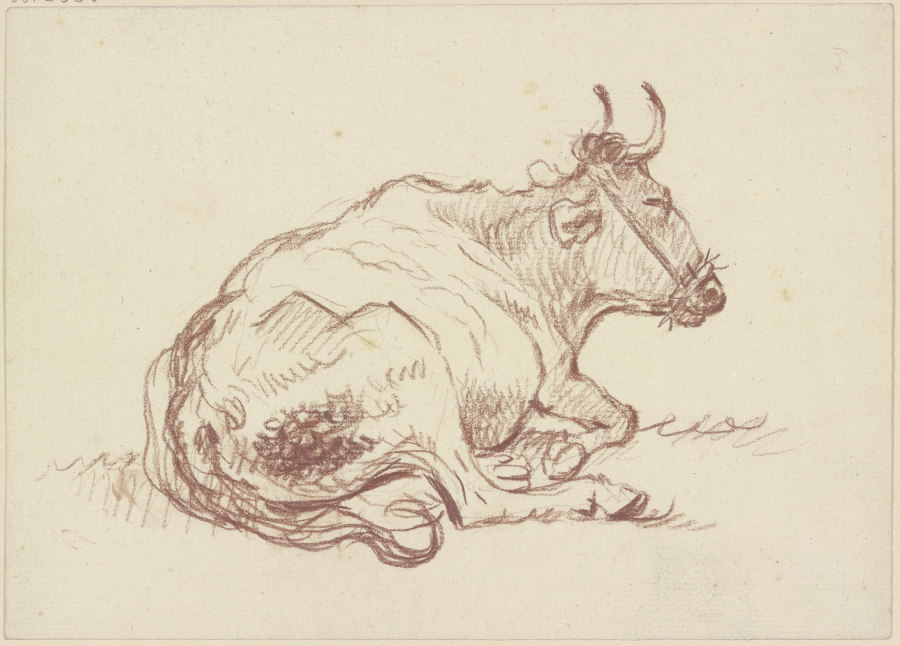 Liegende Kuh nach rechts a Friedrich Wilhelm Hirt