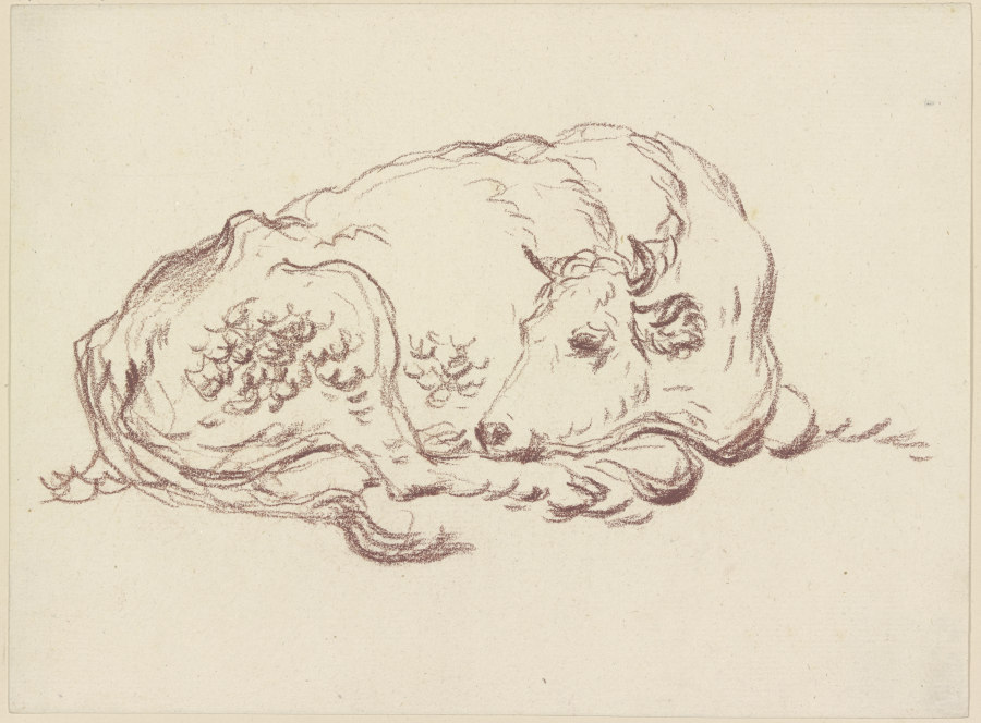 Sleeping cow a Friedrich Wilhelm Hirt