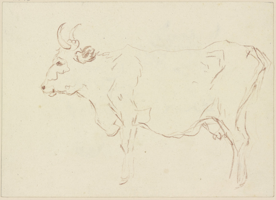 Standing cow to the left a Friedrich Wilhelm Hirt