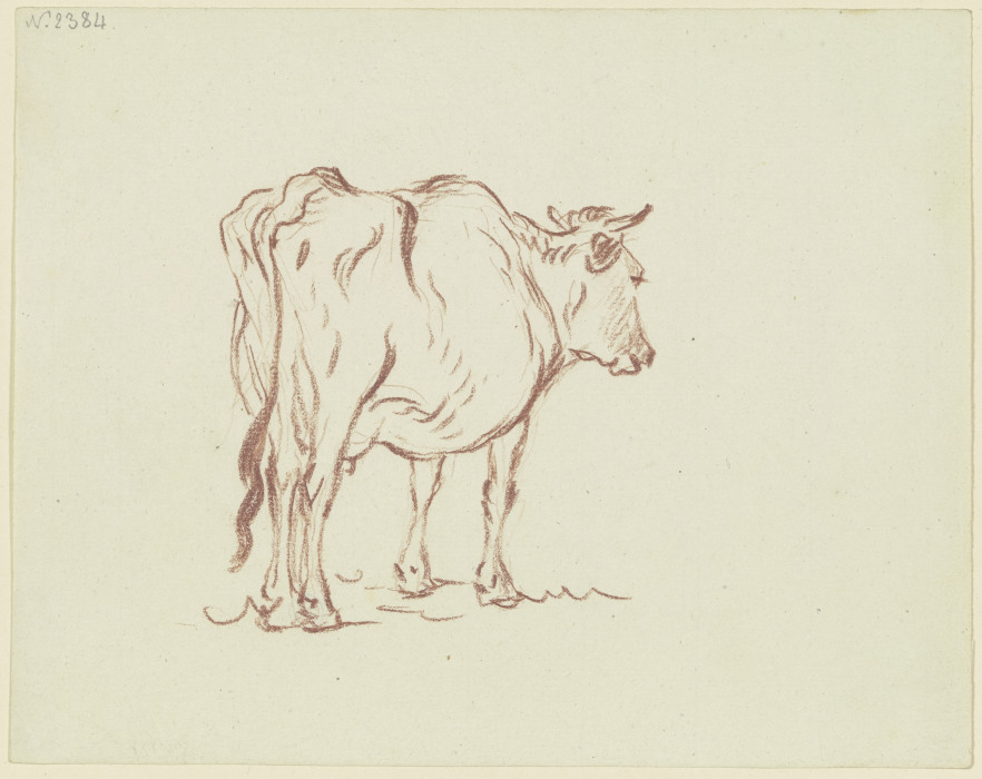 Stehende Kuh nach rechts, in Verkürzung rückansichtig a Friedrich Wilhelm Hirt