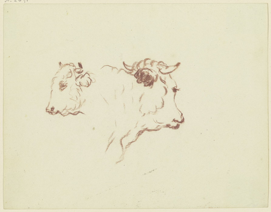Two cattle heads a Friedrich Wilhelm Hirt