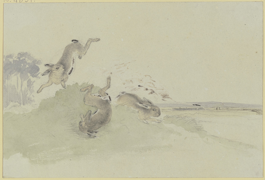 Drei Hasen erschrecken vor der Eisenbahn a Friedrich Wilhelm Keyl