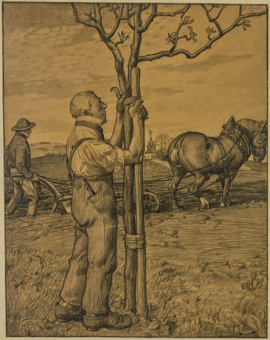 Gärtner, einen Baum anbindend a Fritz Boehle