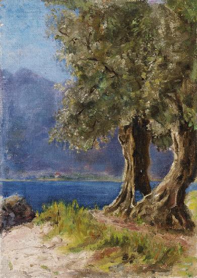 Olivenbaumgruppe an einem italienischen See