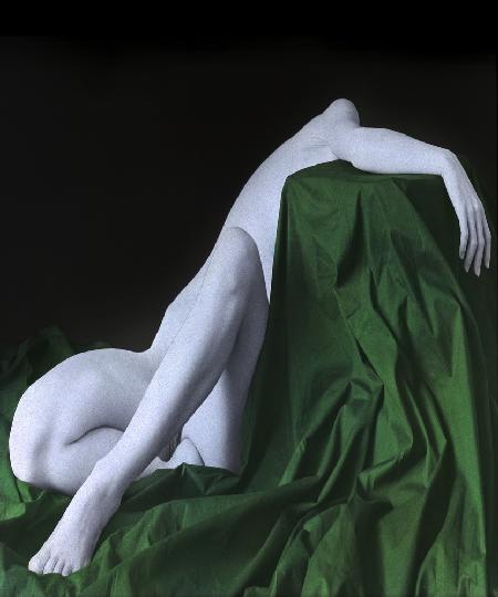 Nude on the green cloth