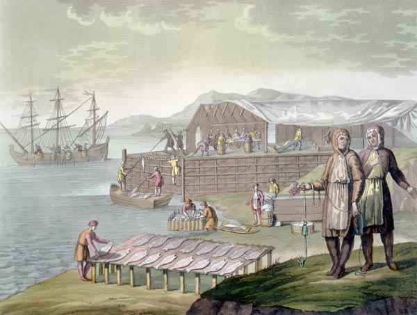 The fishing industry, Newfoundland, from 'Le Costume Ancien et Moderne', Volume II, plate 36, by Jul a G. Bramati