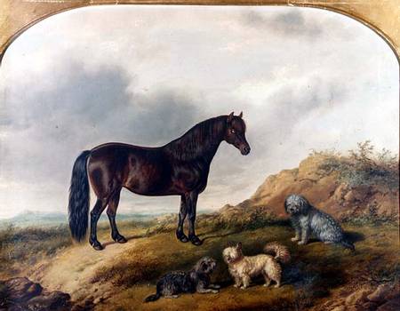 A Pony and three Terriers in a landscape a G. Jackson