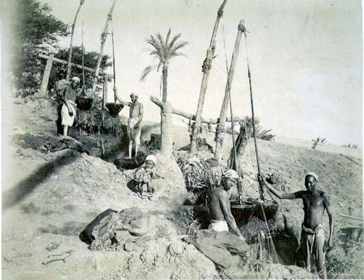 Shadufs in Upper Egypt (sepia photo) a G. Lekegian