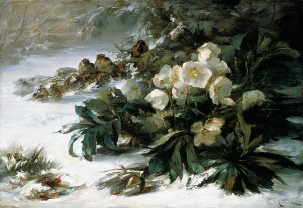 Snow roses a Gabriel Edouard Thurner