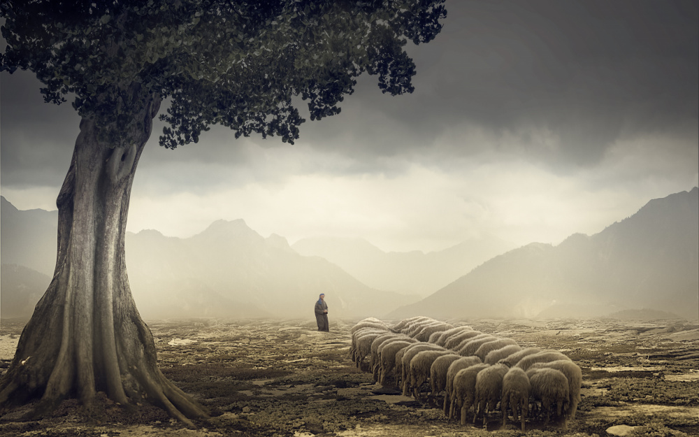 The Shepherd a Gabrielle Halperin