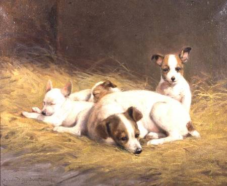 A Terrier with Three Puppies a Gabrielle Rainer-Istuanty